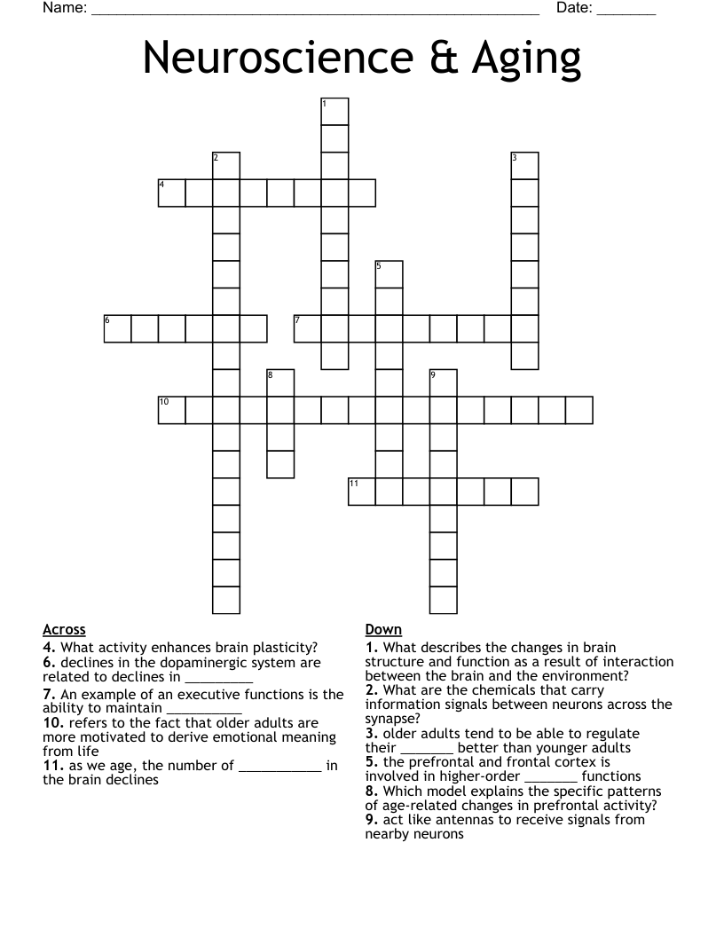 Neuroscience & Aging Crossword