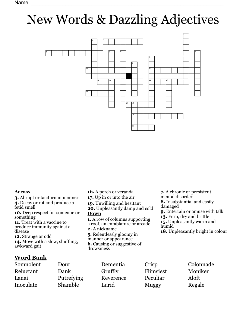 New Words & Dazzling Adjectives  Crossword