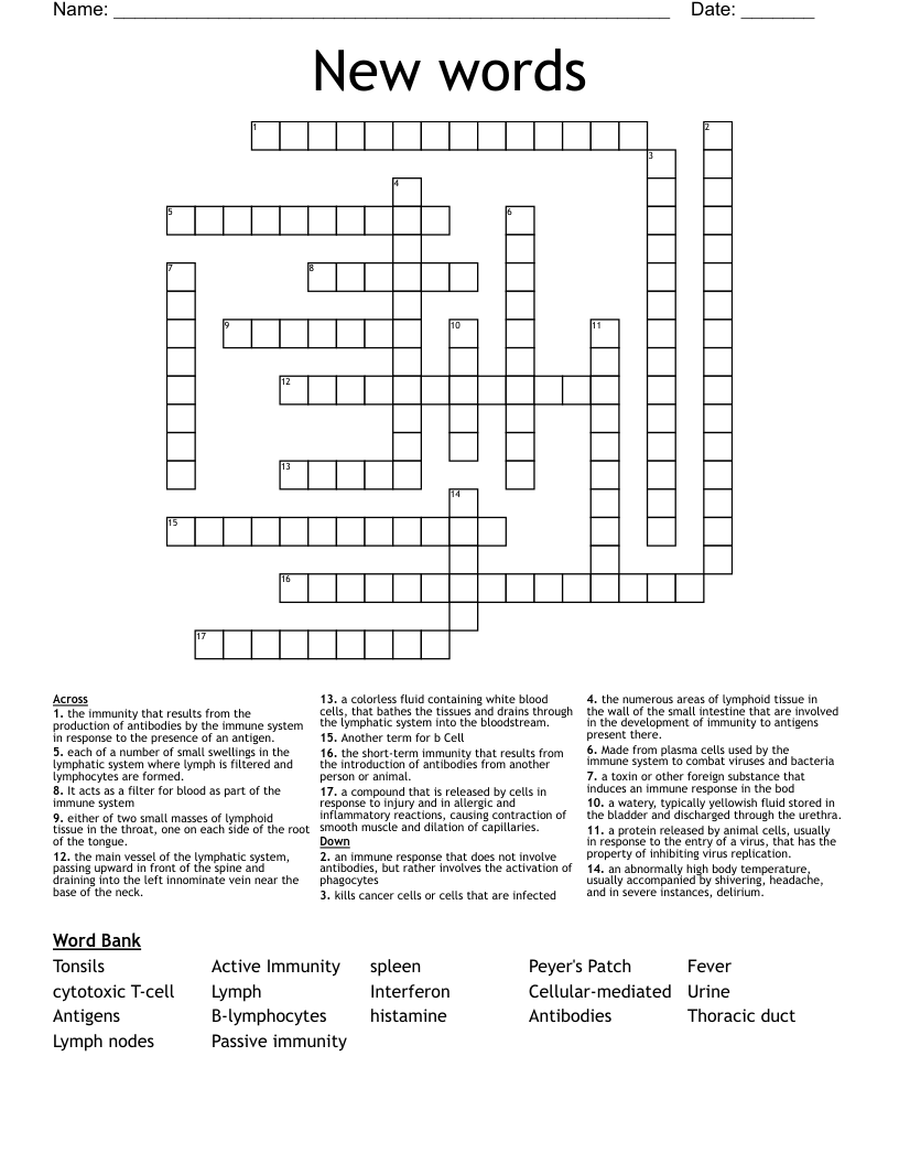 New words  Crossword