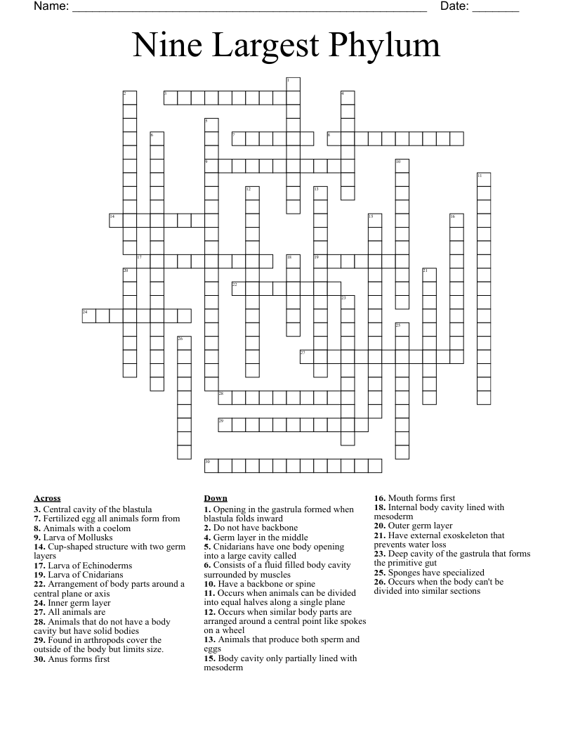Nine Largest Phylum Crossword
