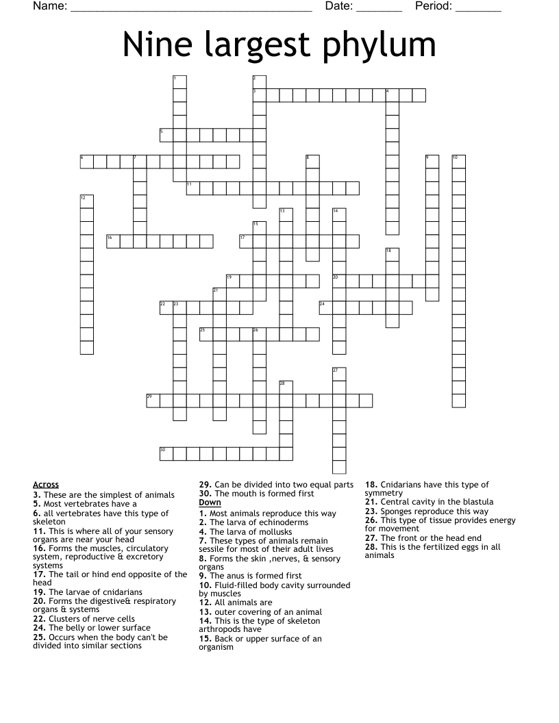 Nine largest phylum Crossword
