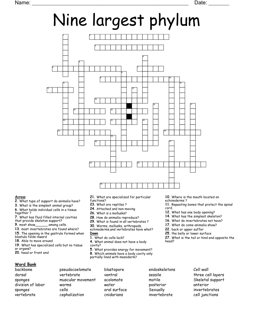 Nine largest phylum  Crossword