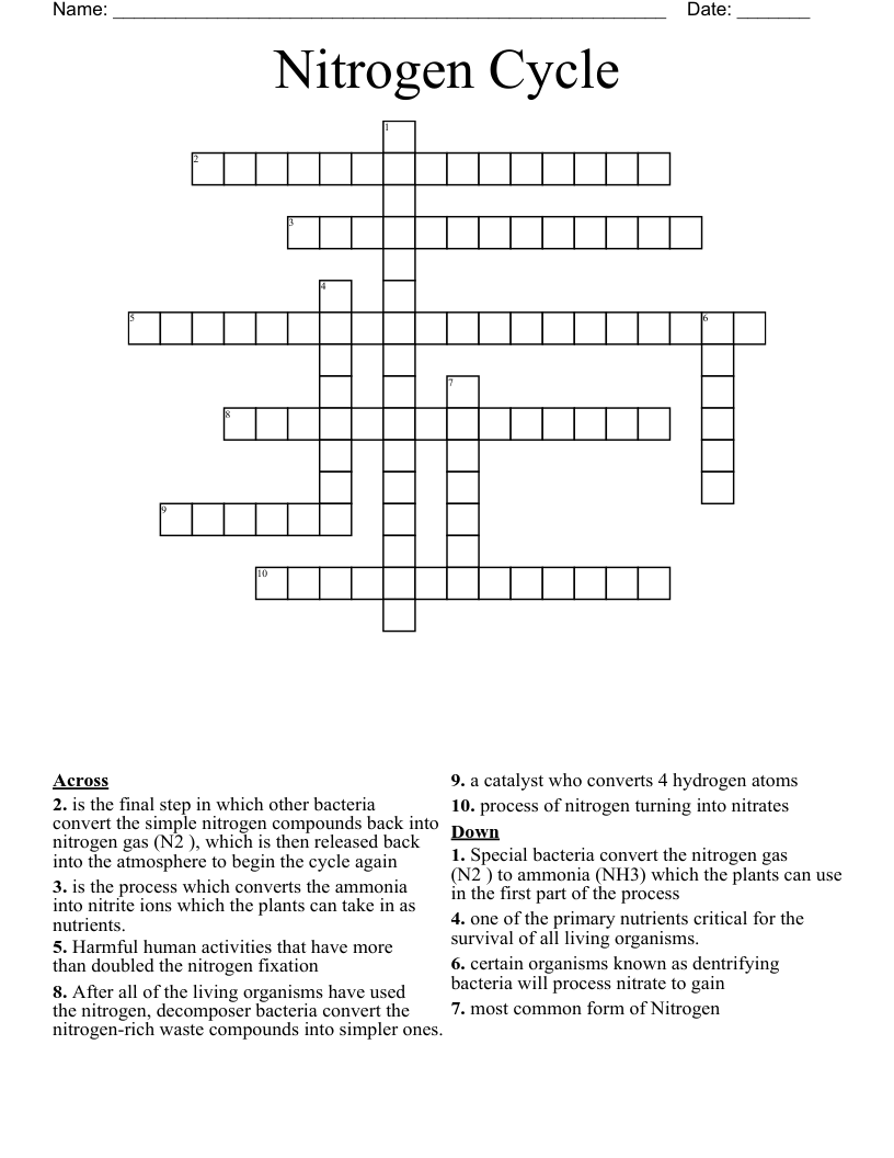 Nitrogen Cycle Crossword