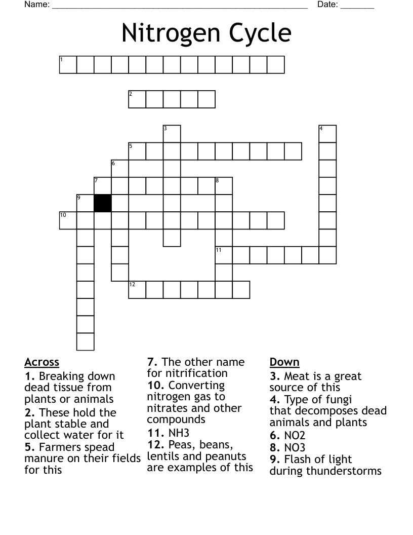 Nitrogen Cycle Crossword