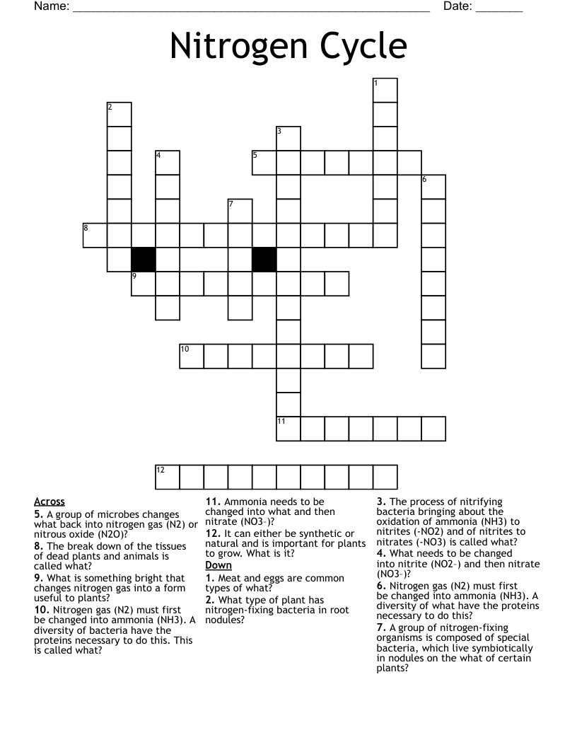 Nitrogen Cycle Crossword