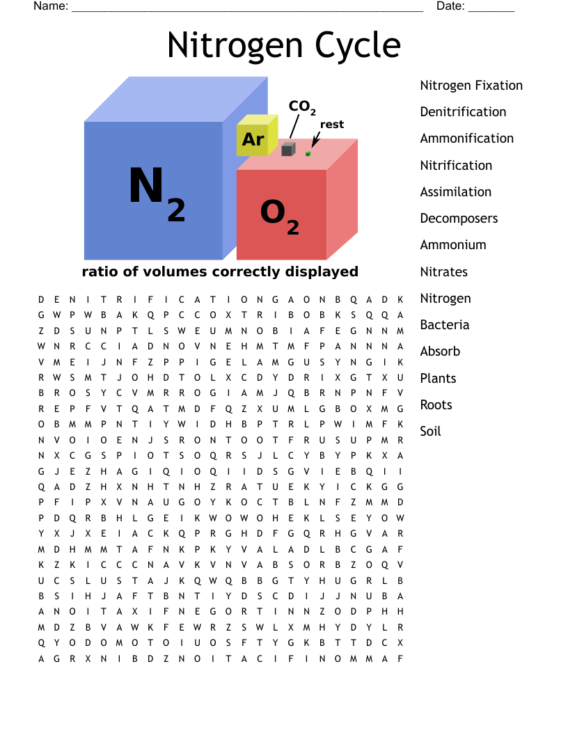 Nitrogen Cycle Word Search