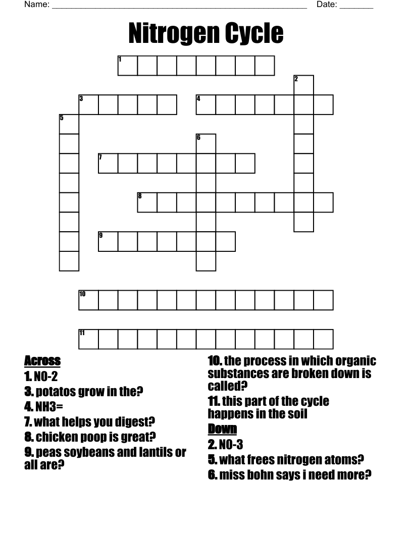 Nitrogen Cycle Crossword