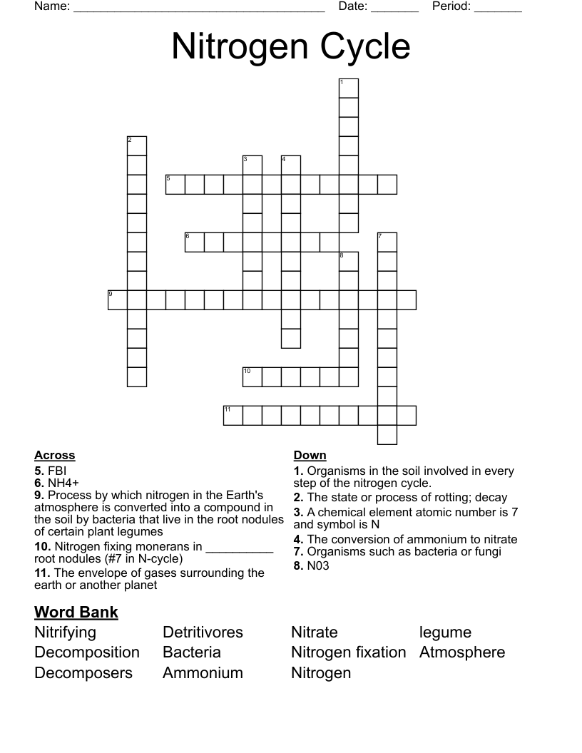 Nitrogen Cycle  Crossword