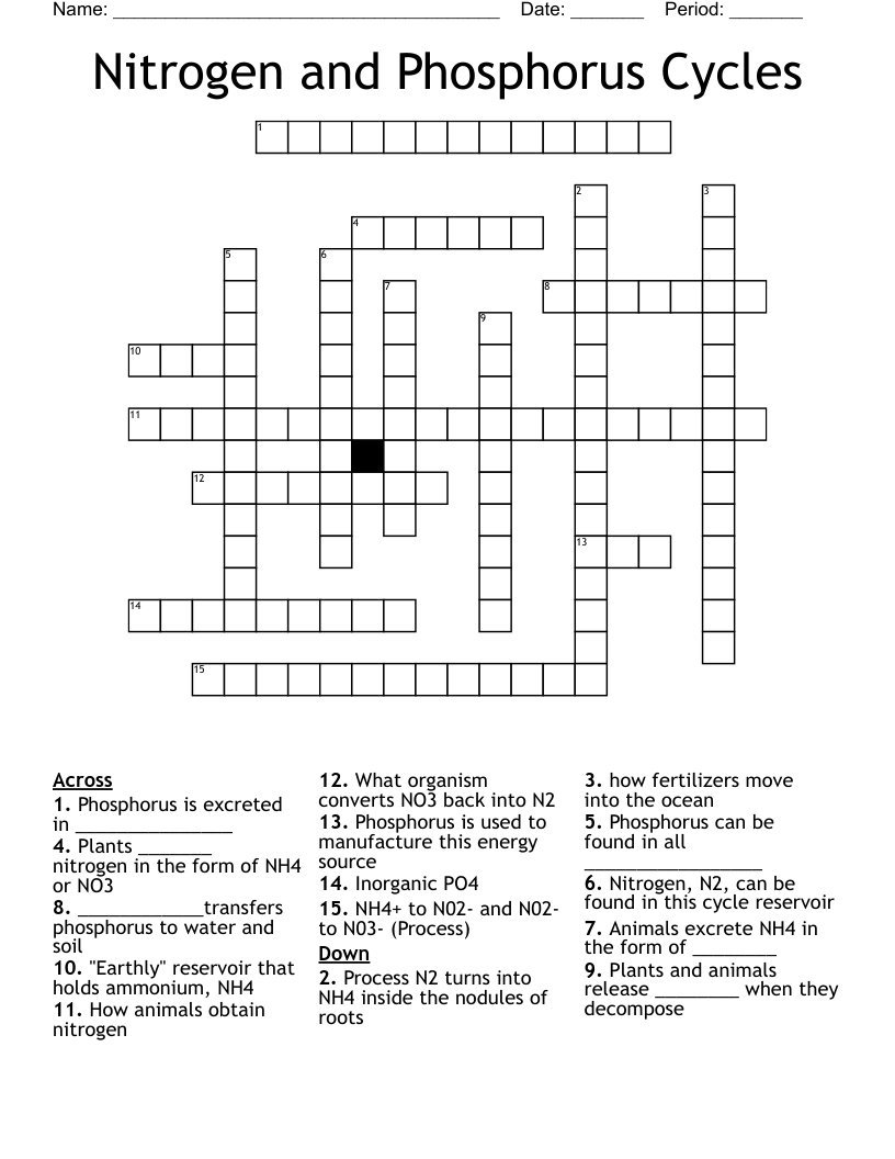 Nitrogen and Phosphorus Cycles Crossword