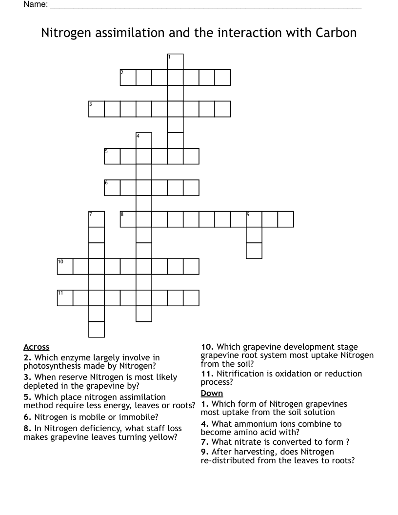 Nitrogen assimilation and the interaction with Carbon Crossword