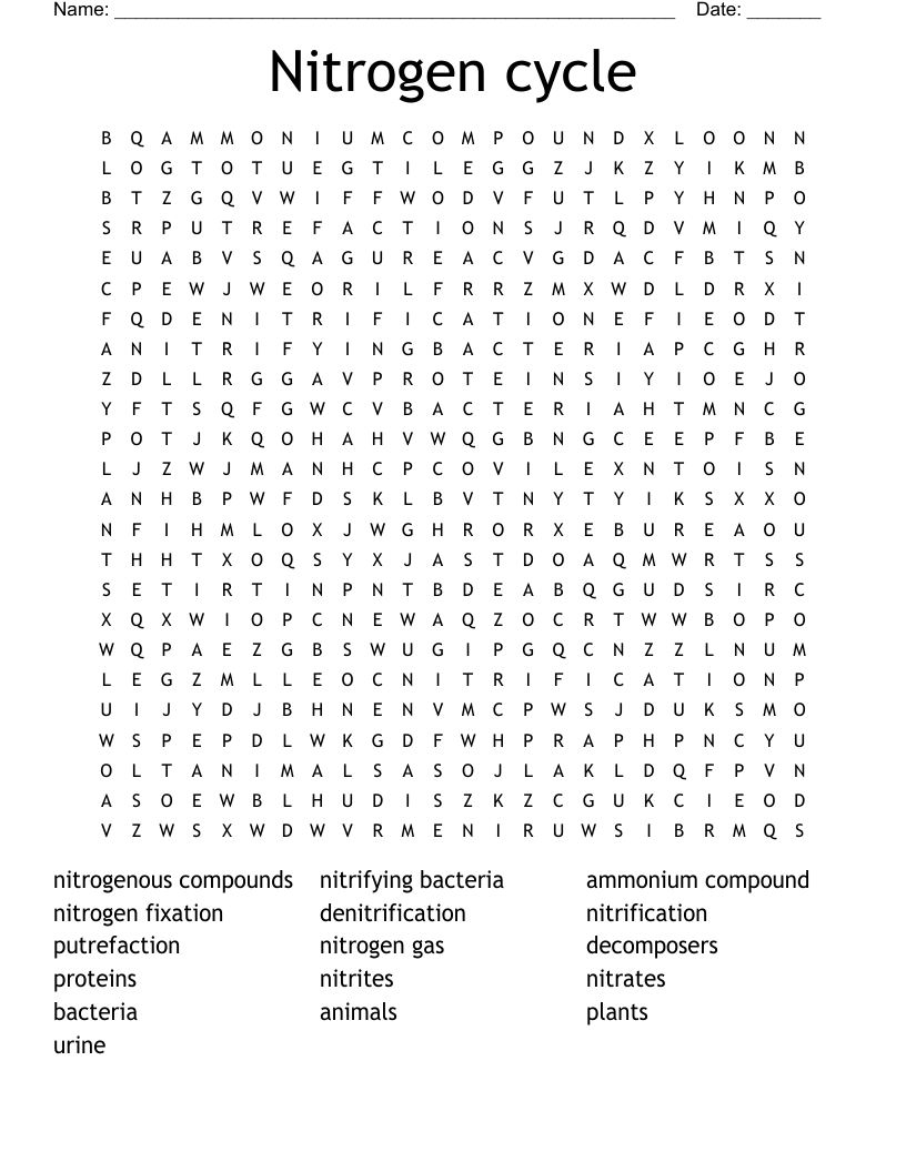 Nitrogen cycle Word Search