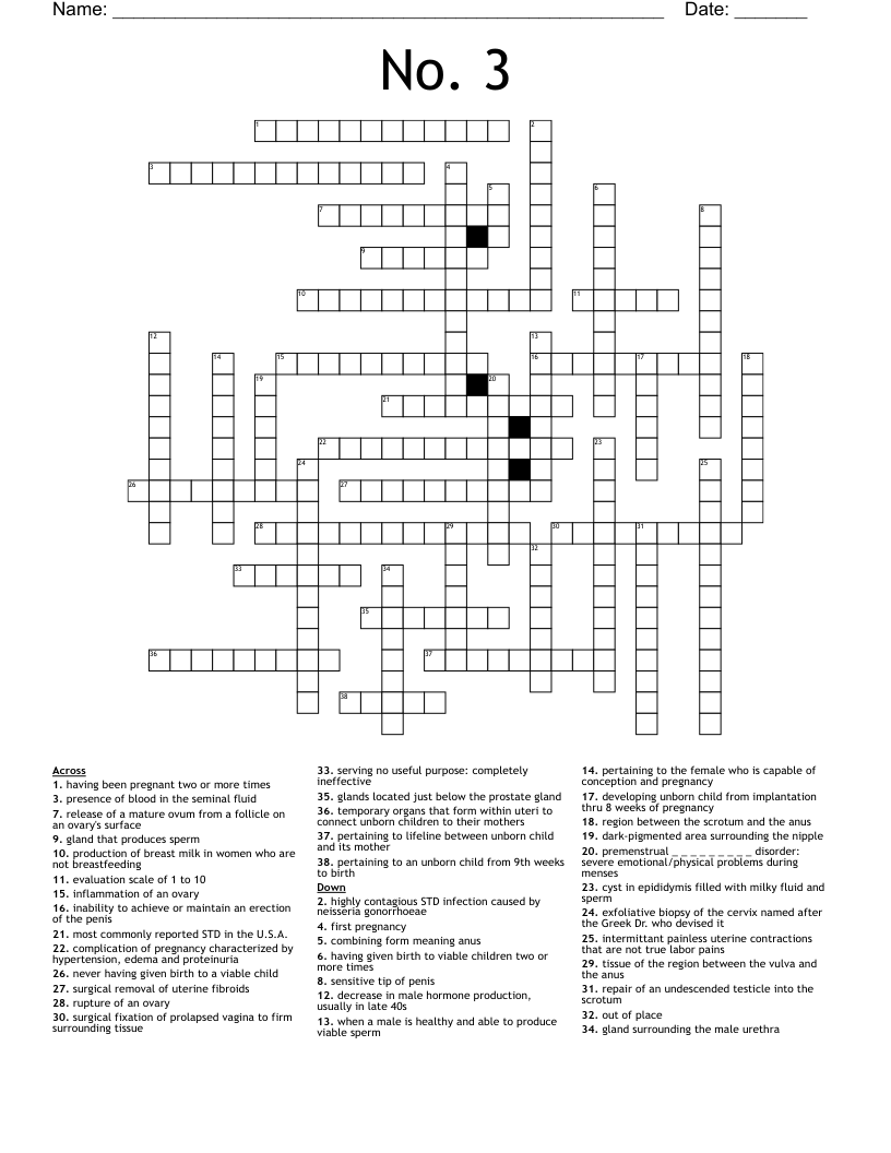 No. 3 Crossword