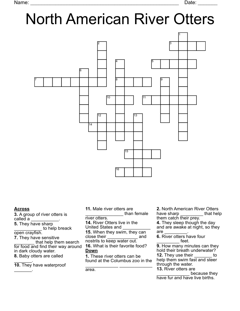 North American River Otters Crossword