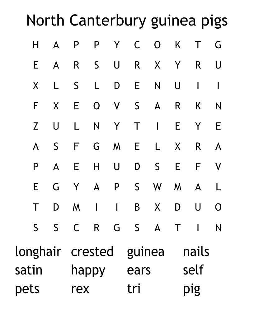 North Canterbury guinea pigs Word Search