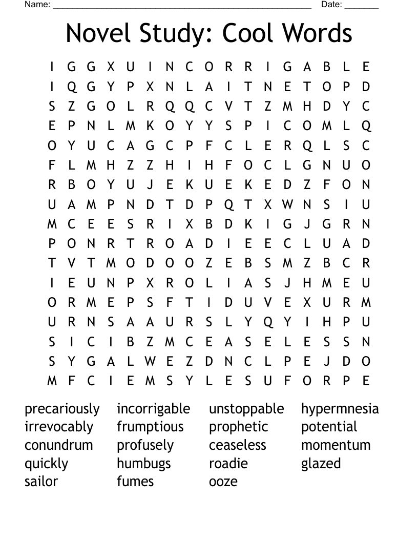 Novel Study: Cool Words Word Search
