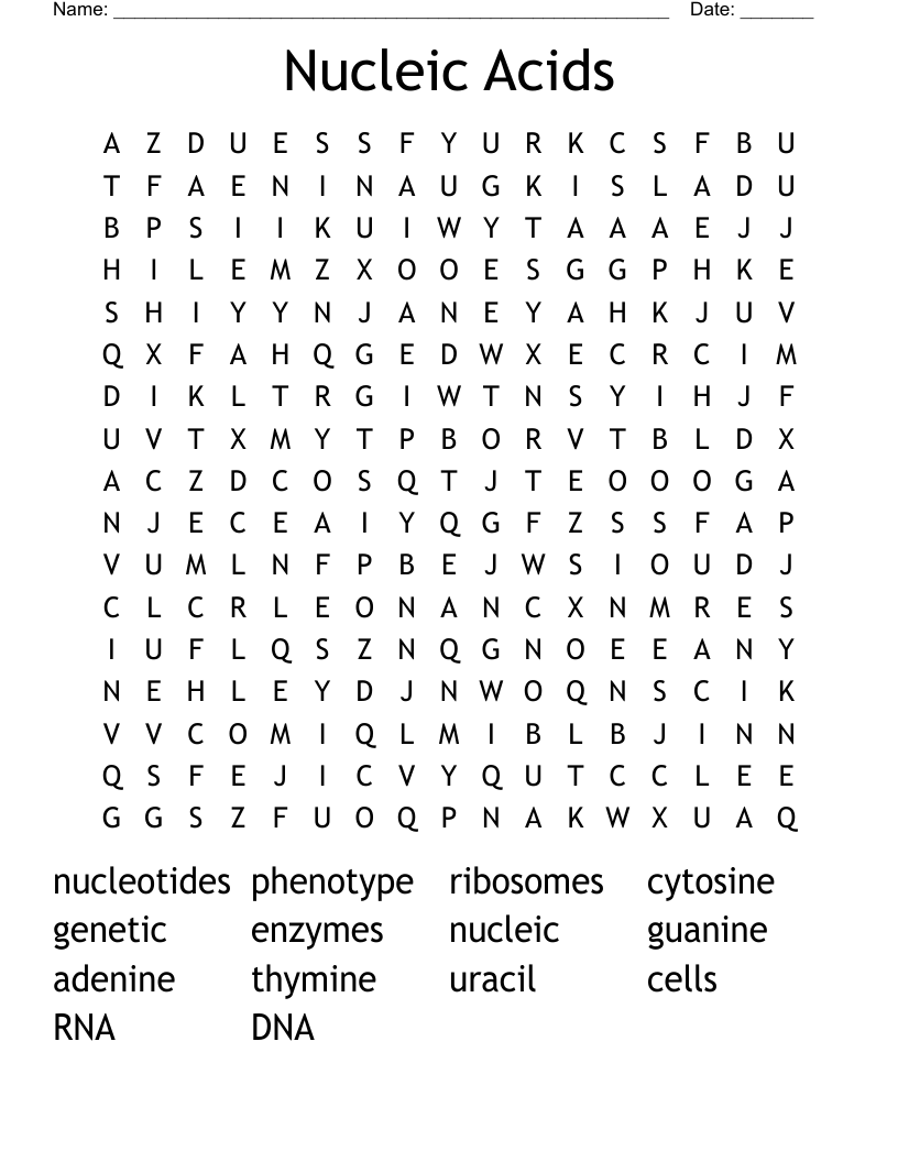 Nucleic Acids Word Search