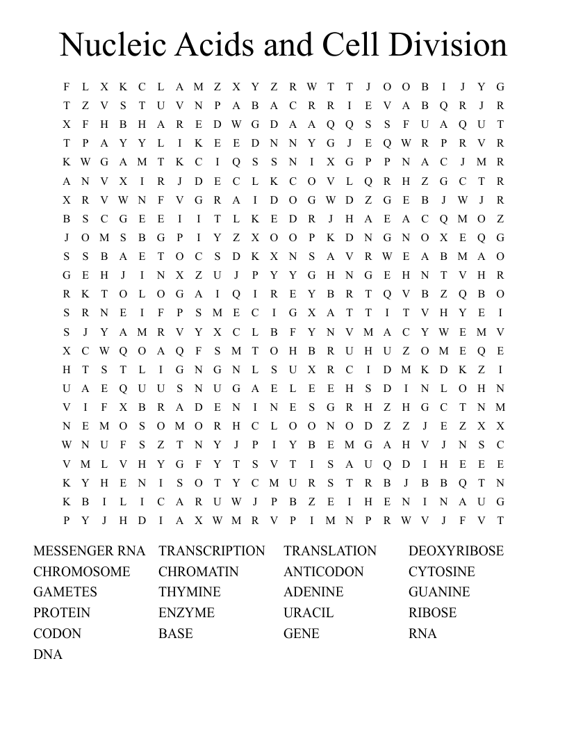 Nucleic Acids and Cell Division Word Search