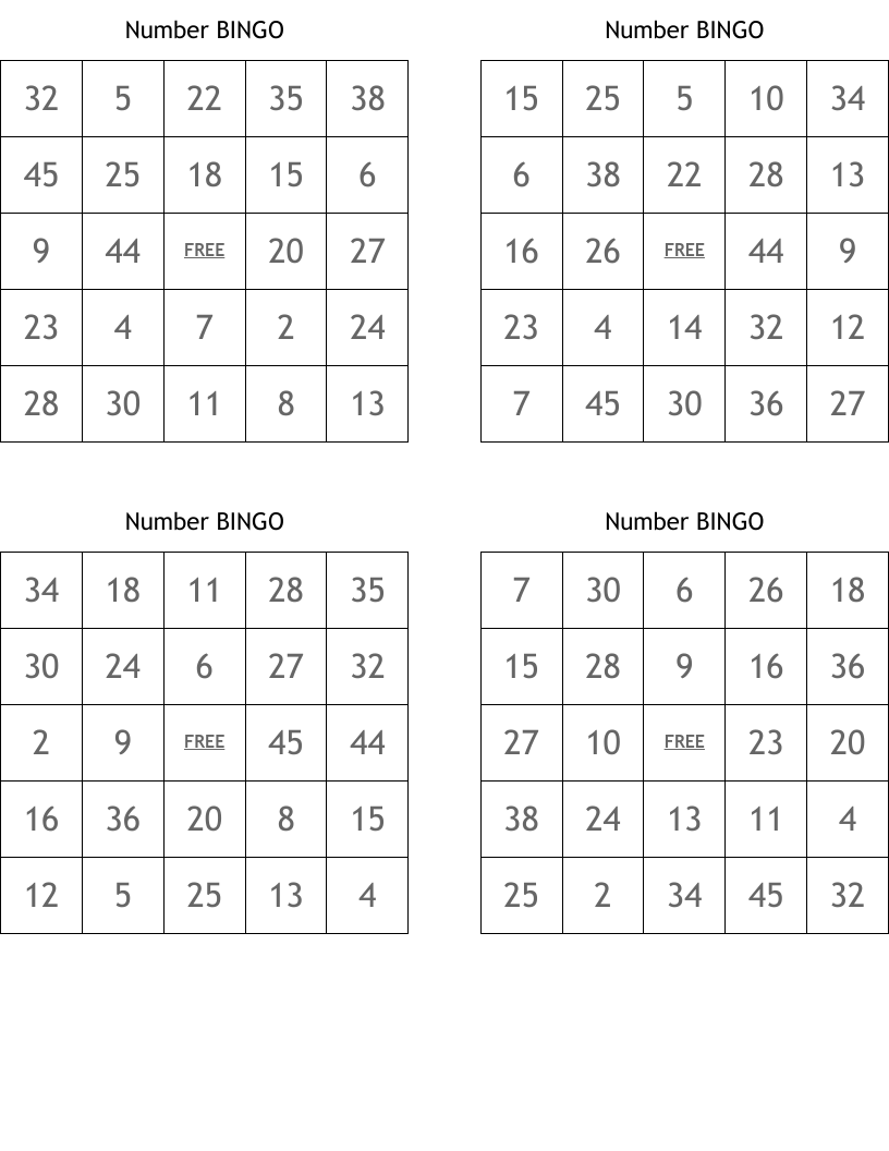 Number BINGO