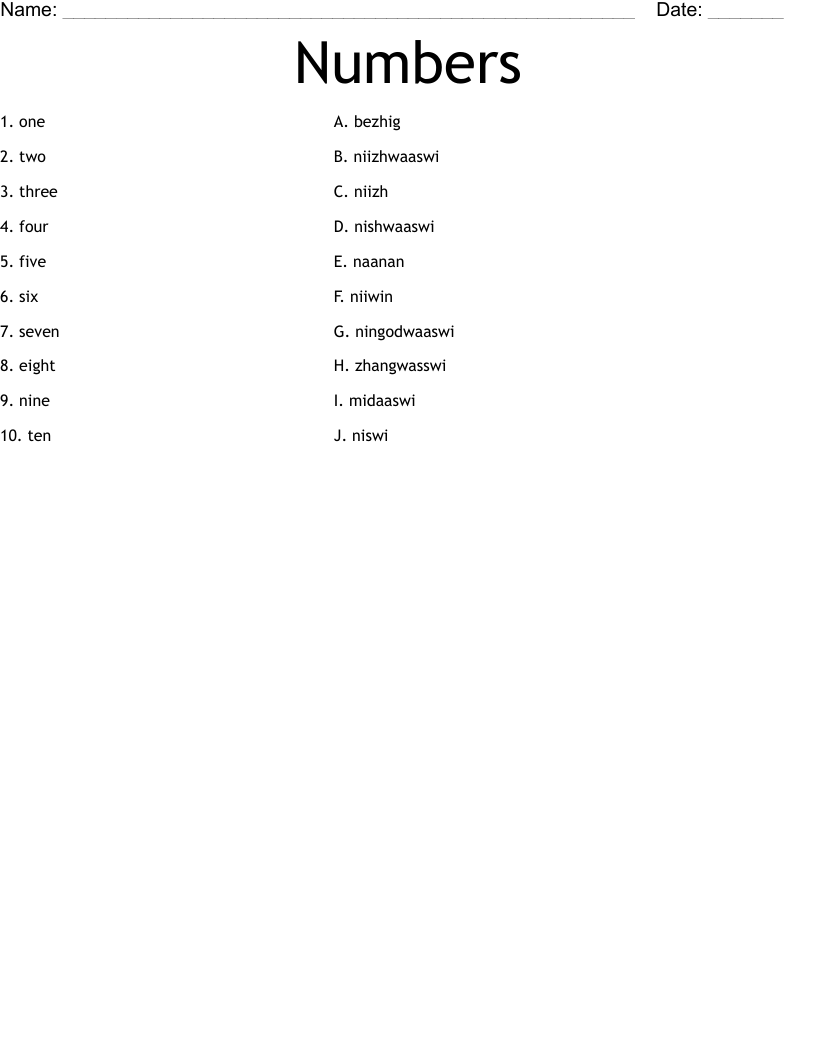 Numbers  Worksheet