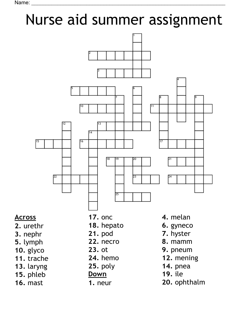 Nurse aid summer assignment Crossword