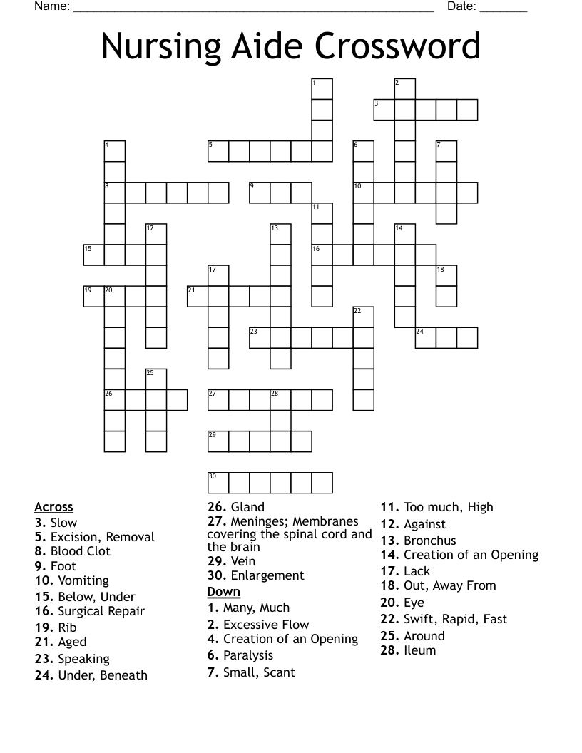 Nursing Aide Crossword