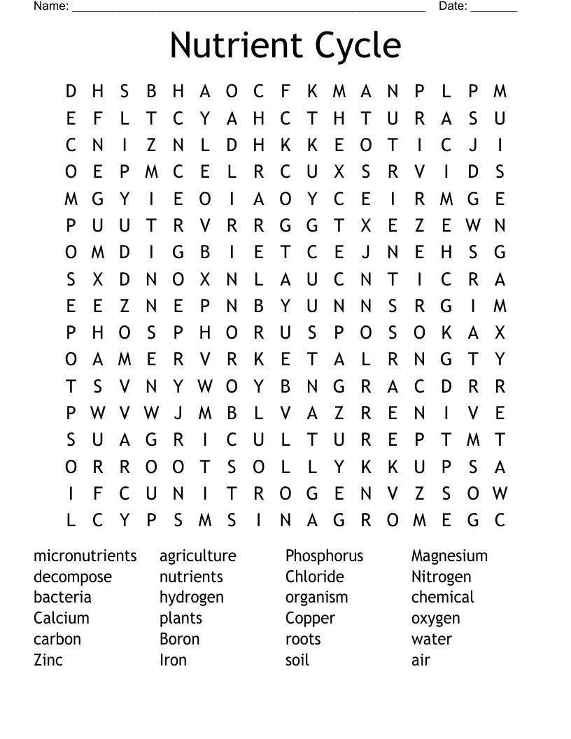 Nutrient Cycle Word Search