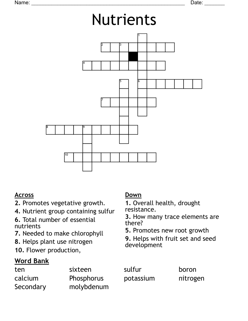 Nutrients Crossword
