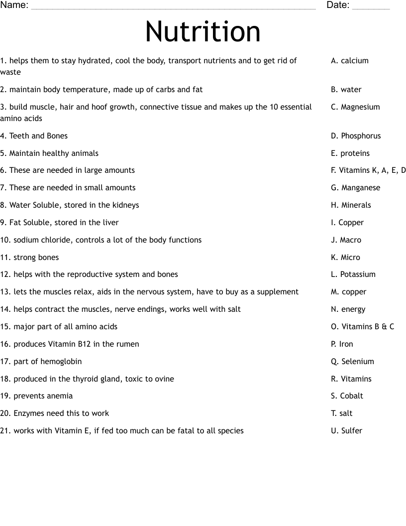 Nutrition Worksheet