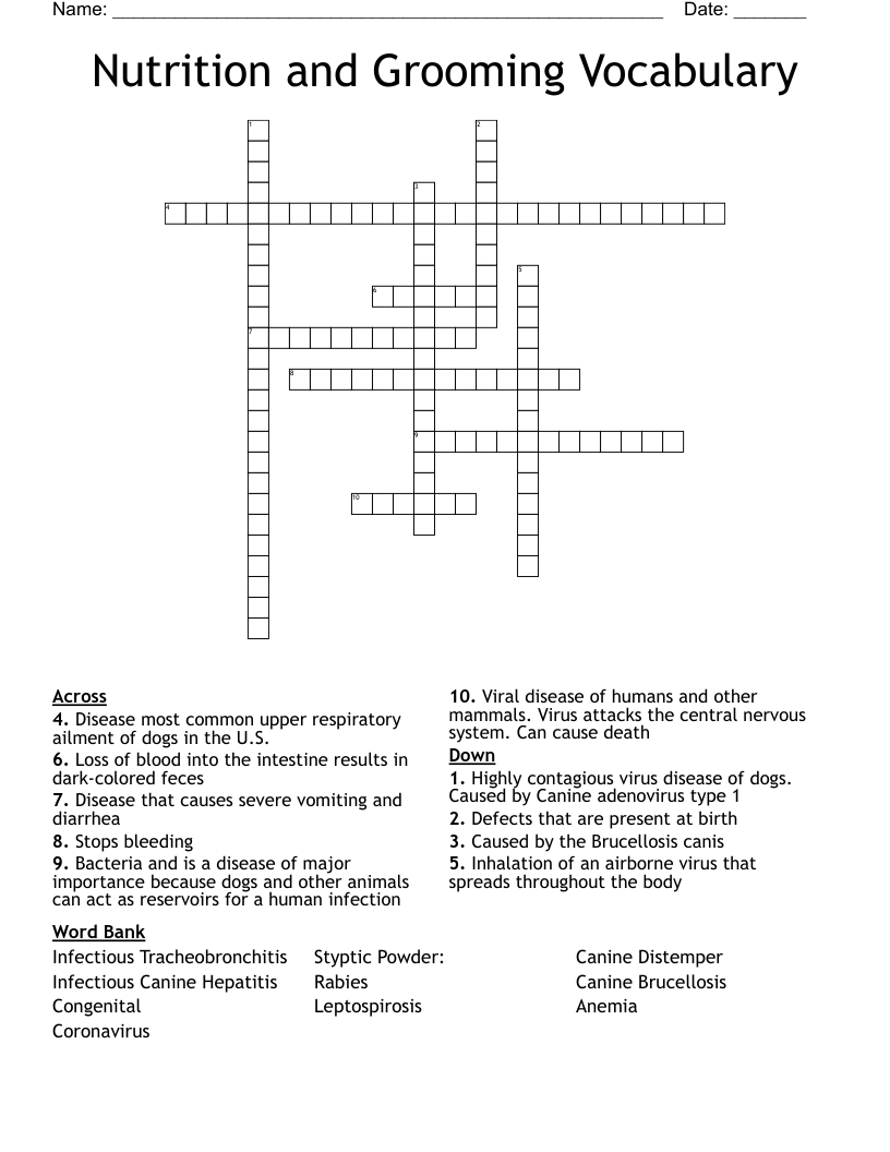 Nutrition and Grooming Vocabulary Crossword