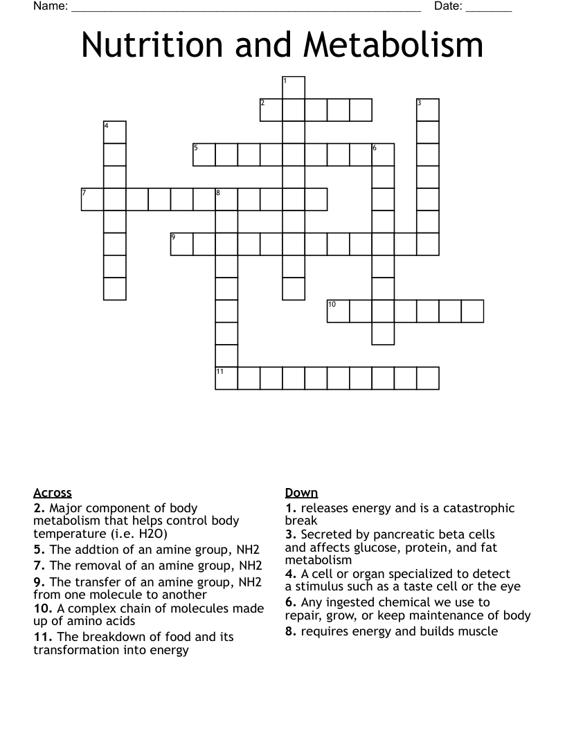 Nutrition and Metabolism Crossword