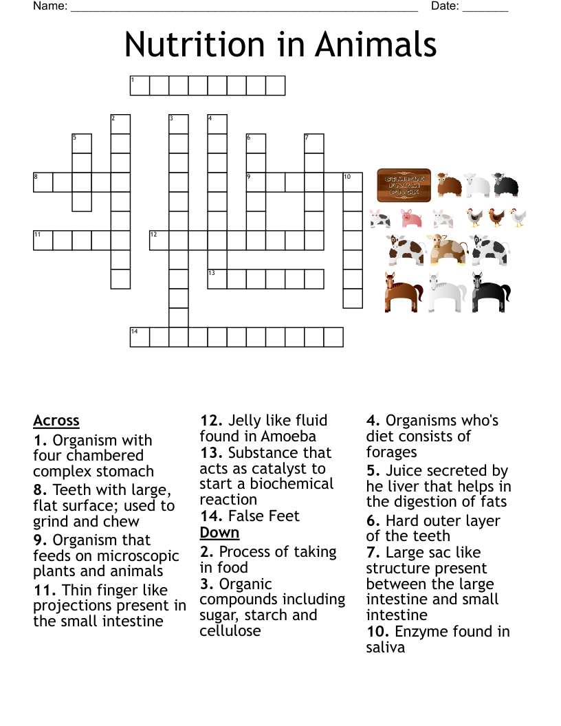 Nutrition in Animals Crossword