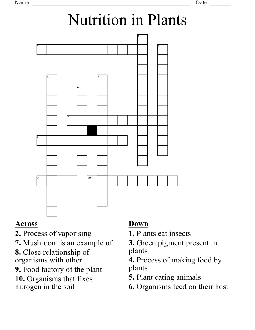 Nutrition in Plants Crossword