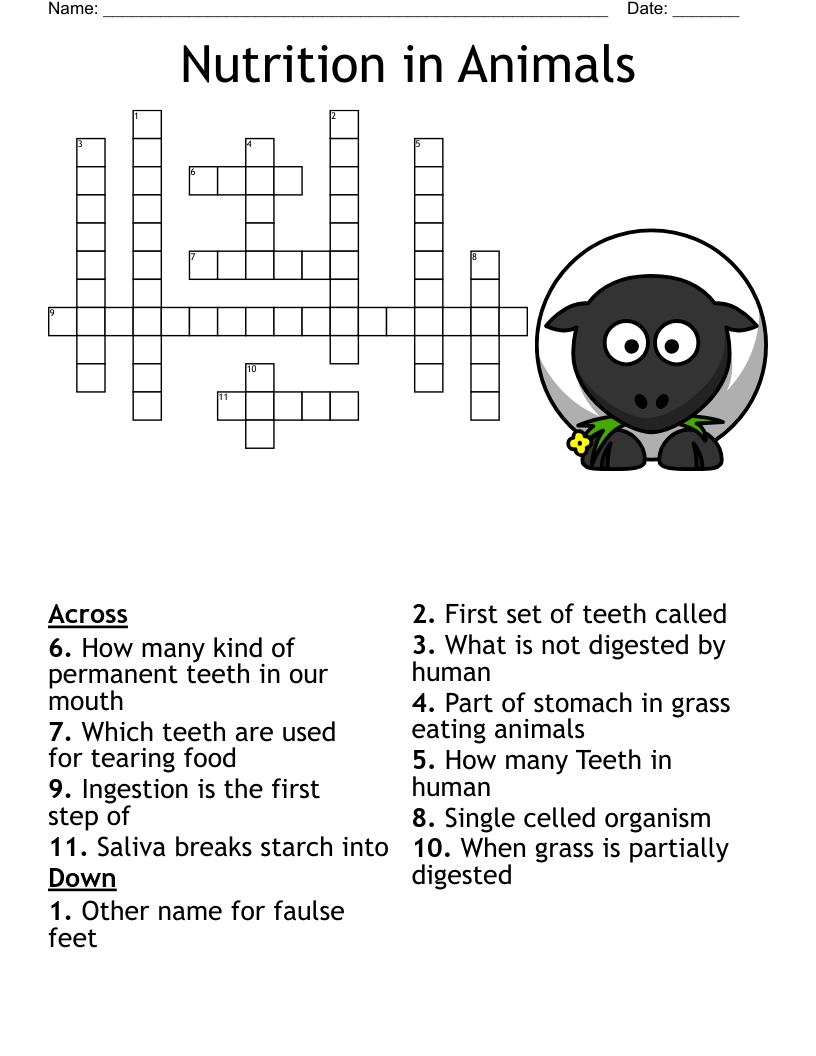 Nutrition in Animals Crossword