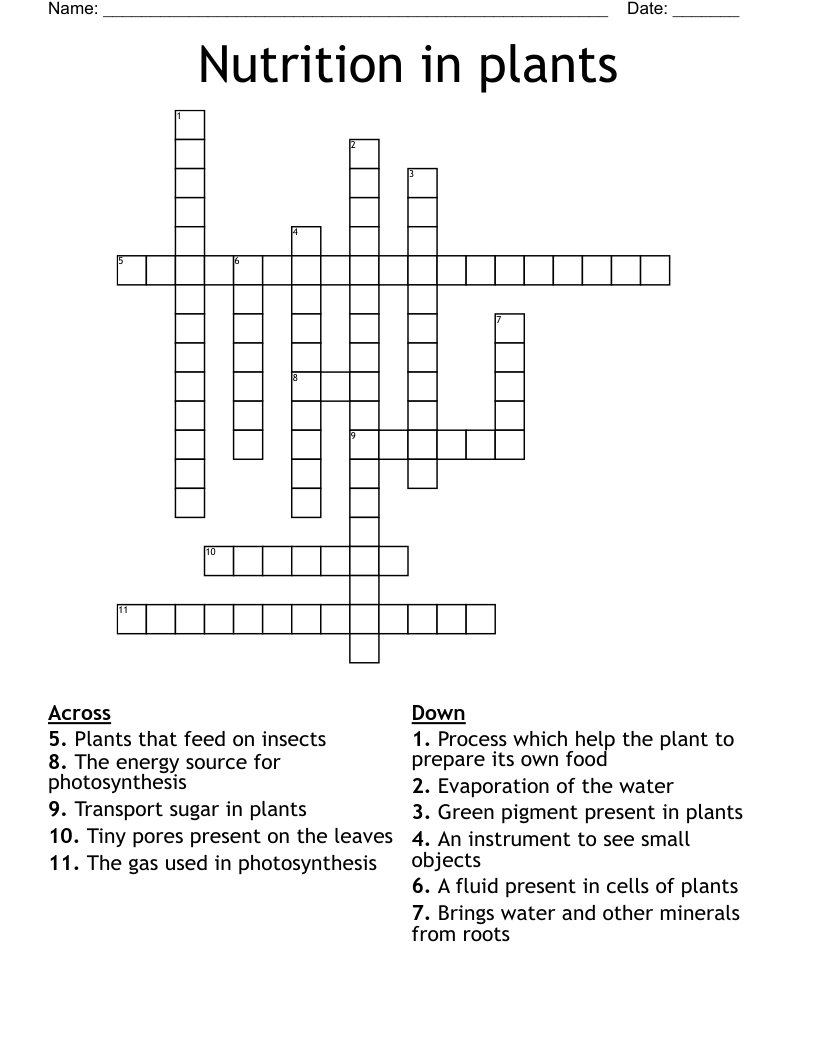 Nutrition in plants Crossword