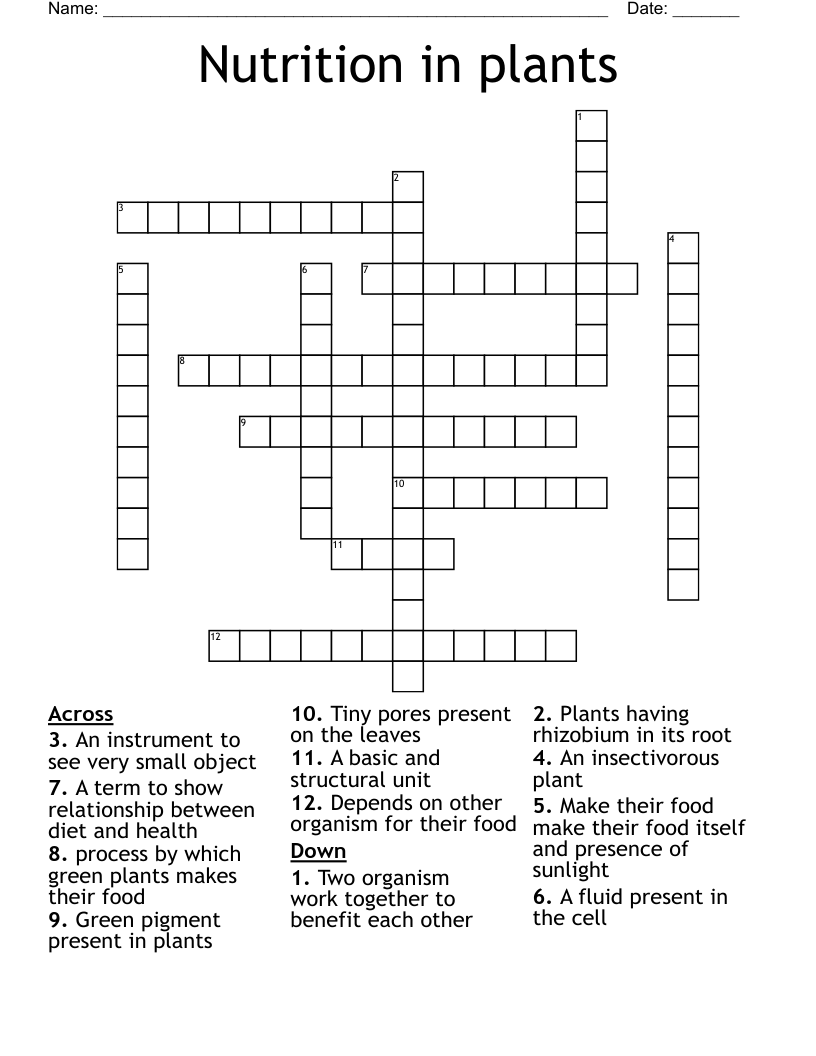 Nutrition in plants Crossword