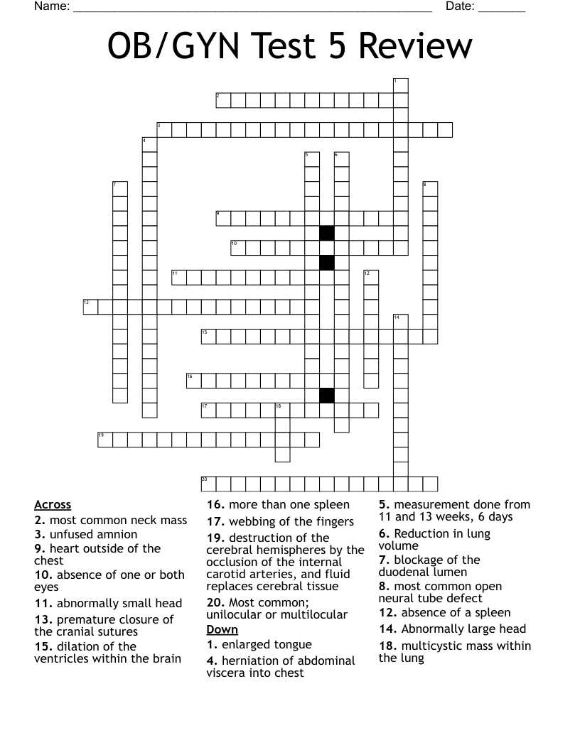 OB/GYN Test 5 Review Crossword