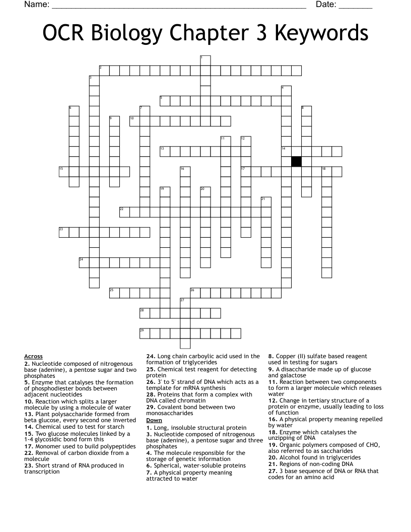 OCR Biology Chapter 3 Keywords Crossword