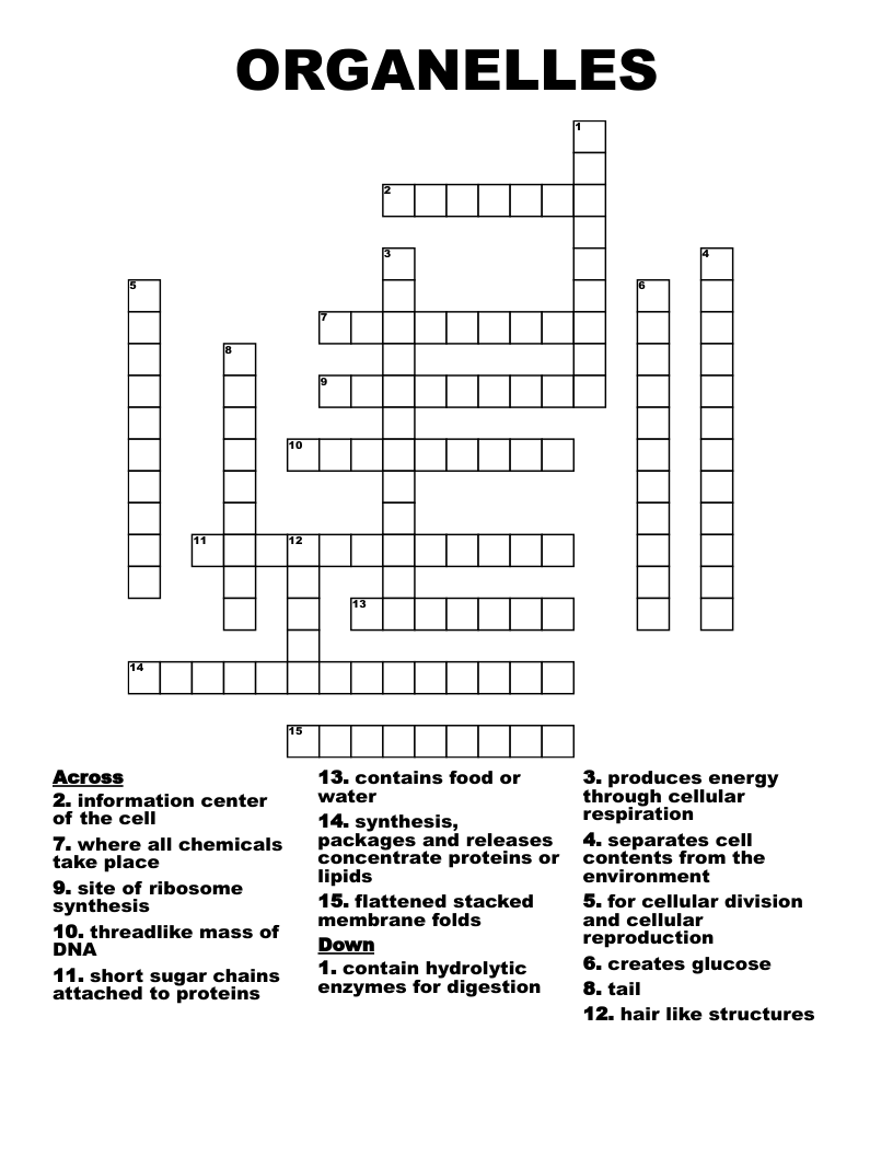 ORGANELLES Crossword