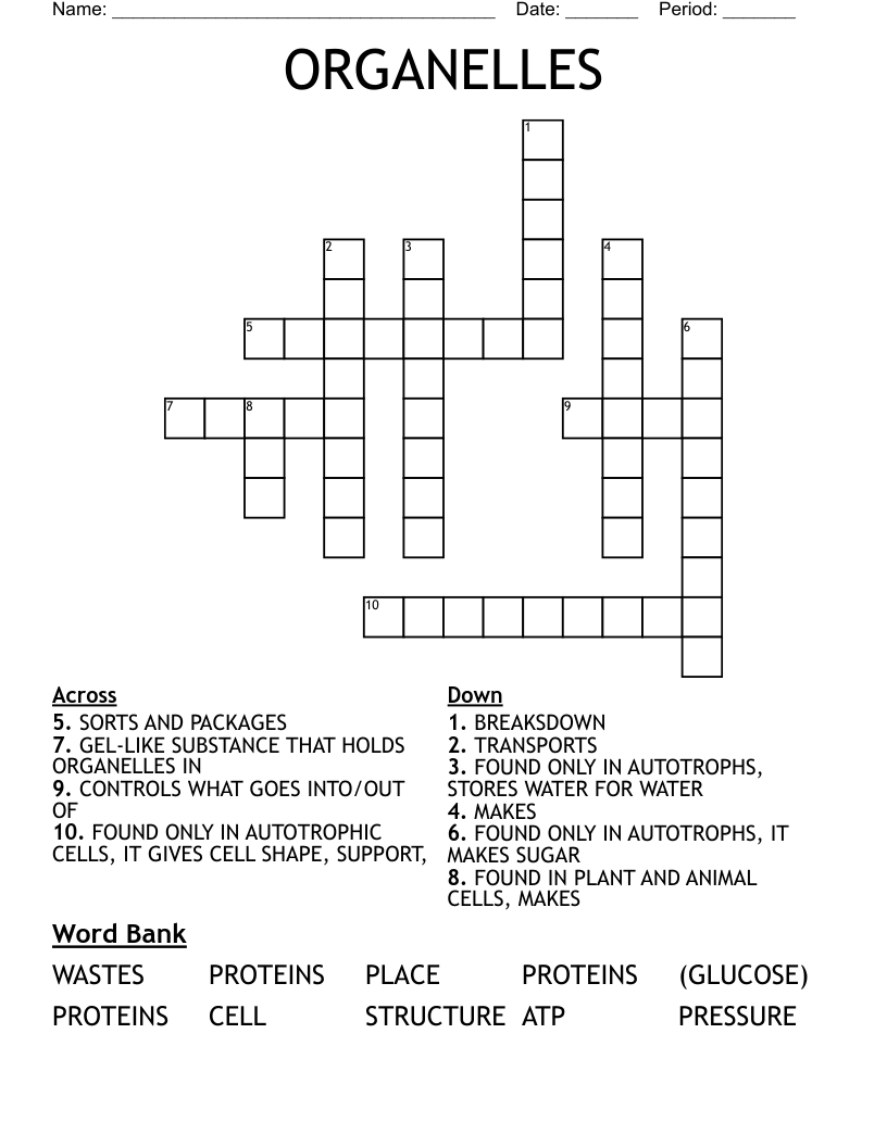 ORGANELLES Crossword