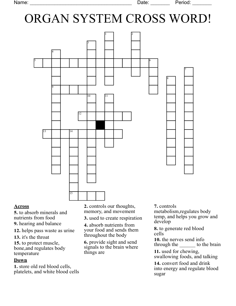 ORGAN SYSTEM CROSS WORD!