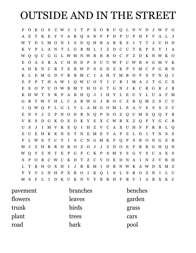 OUTSIDE AND IN THE STREET Word Search