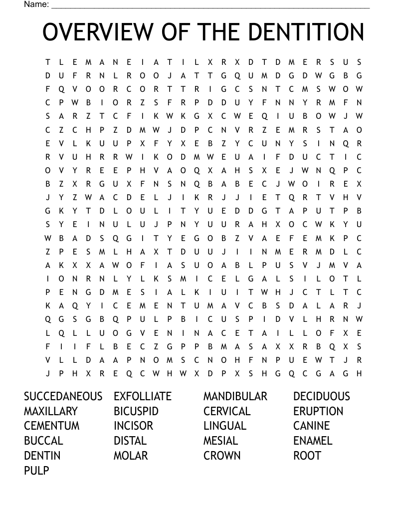 OVERVIEW OF THE DENTITION Word Search