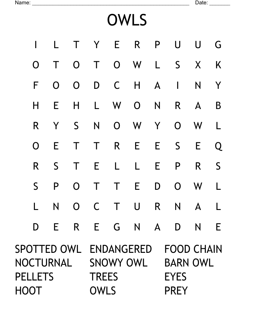 OWLS Word Search