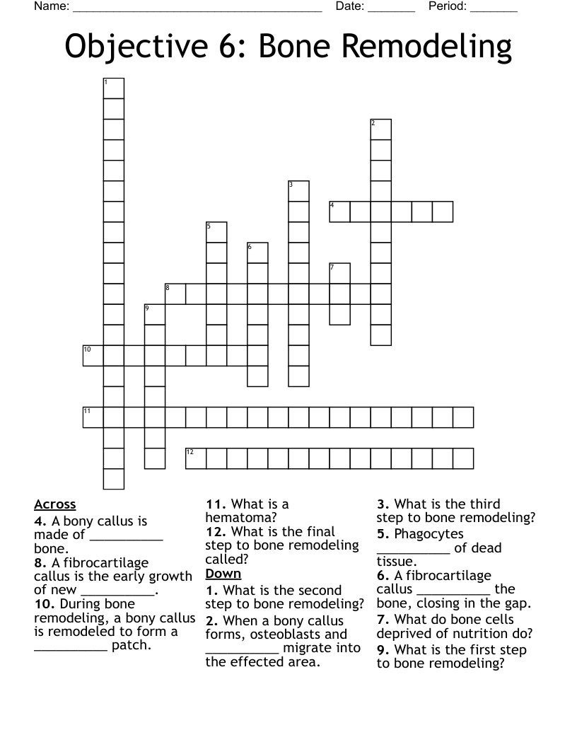 Objective 6: Bone Remodeling  Crossword