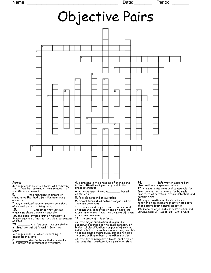 Objective Pairs Crossword