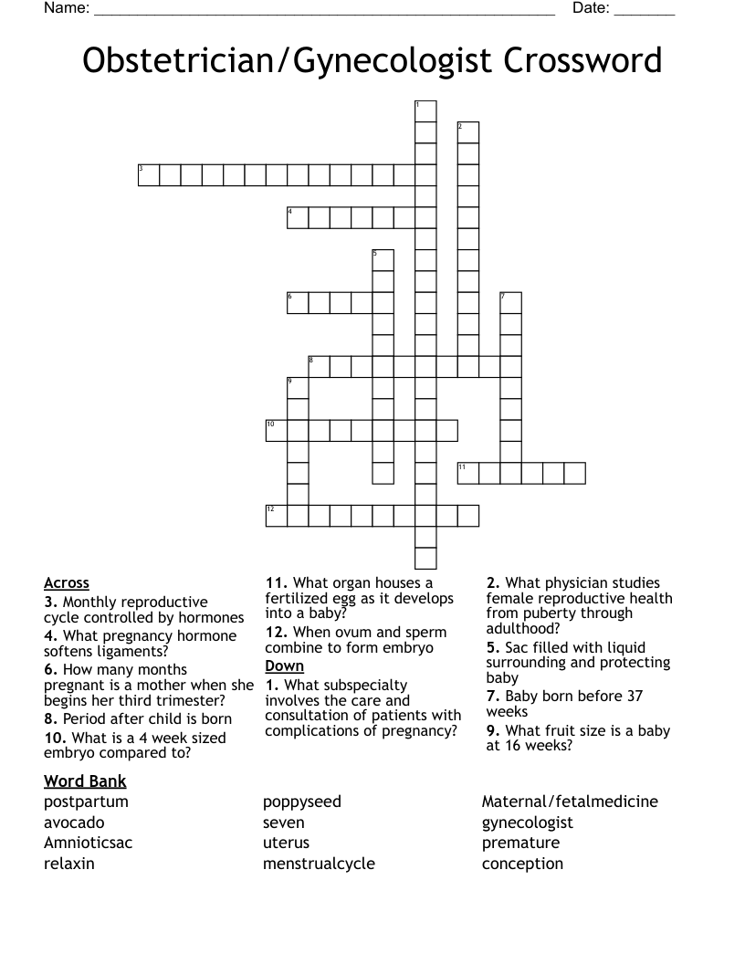 Obstetrician/Gynecologist Crossword 