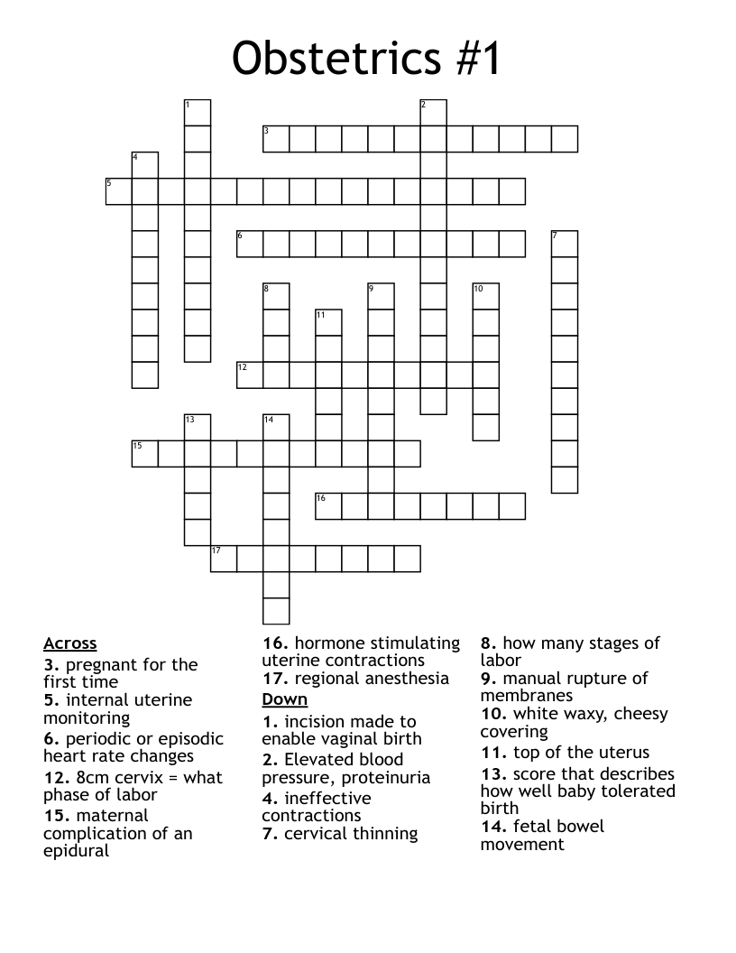 Obstetrics #1 Crossword