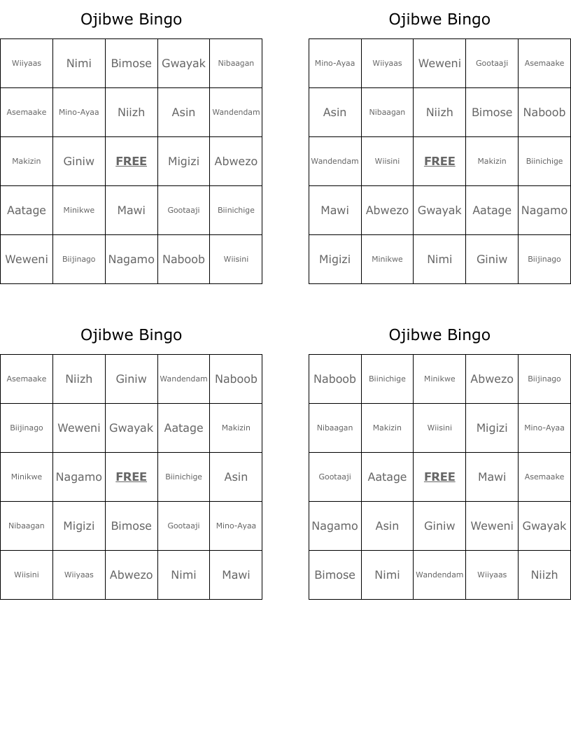Ojibwe Bingo