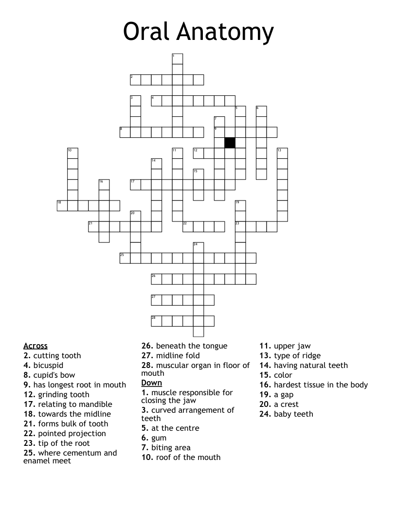 Oral Anatomy                Crossword