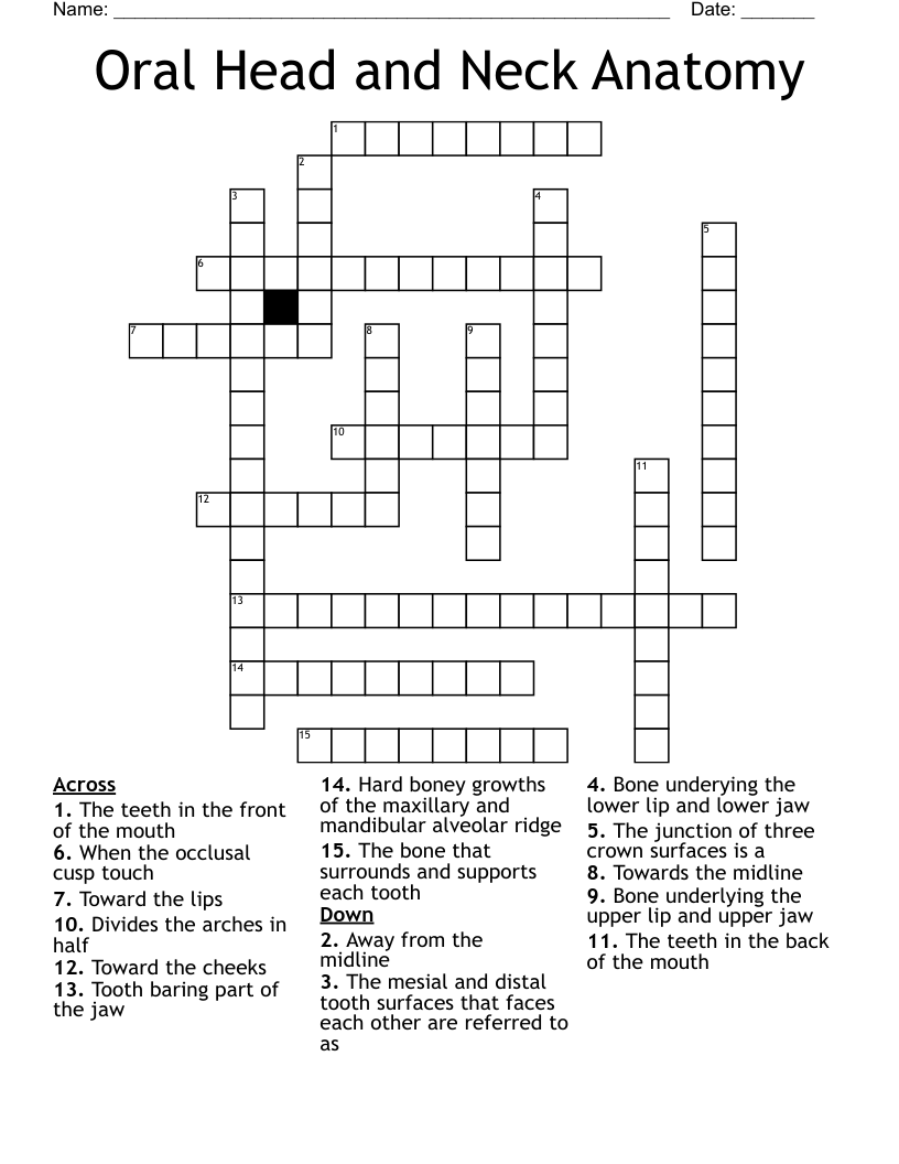 Oral Head and Neck Anatomy Crossword